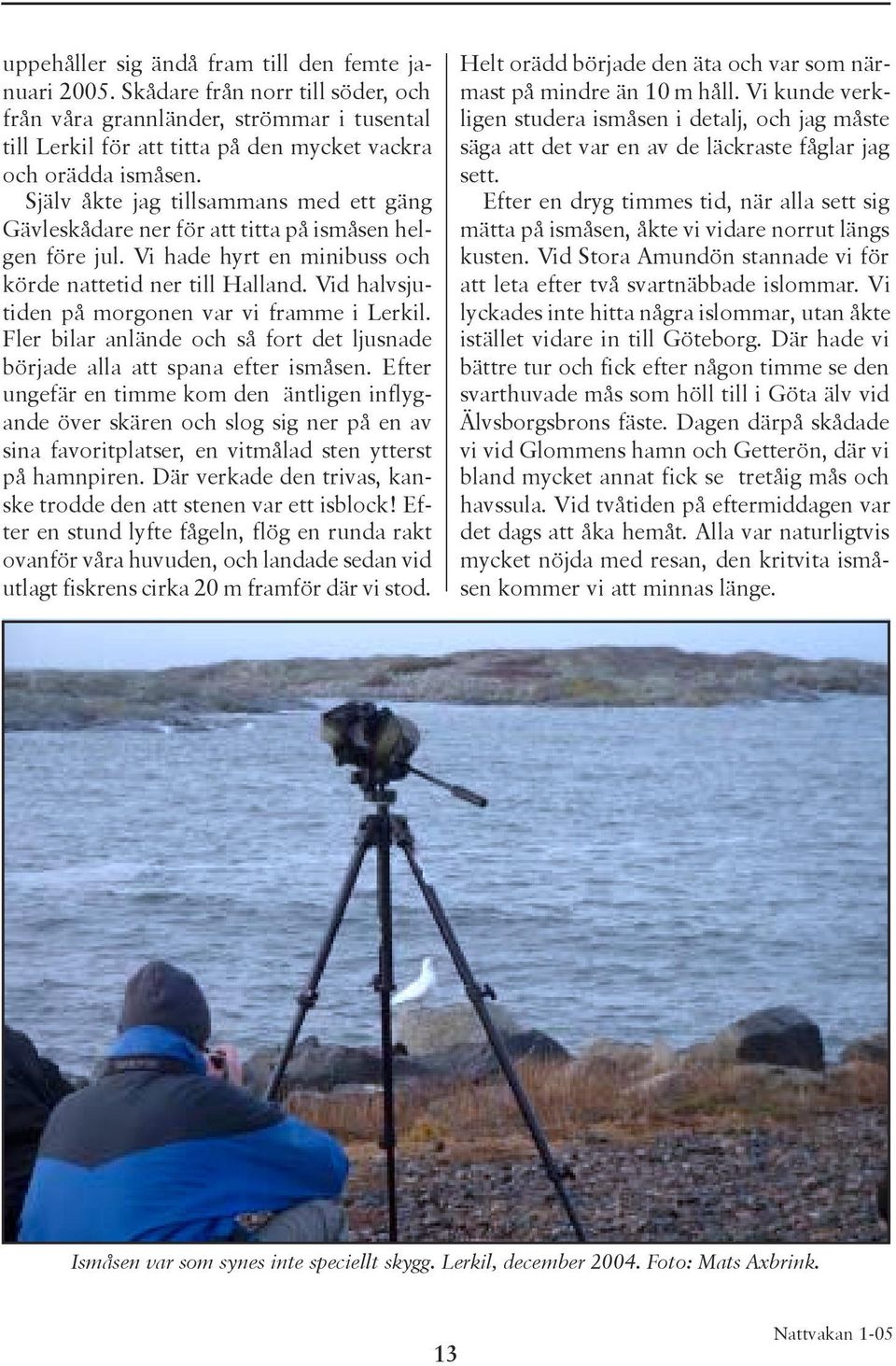 Vid halvsjutiden på morgonen var vi framme i Lerkil. Fler bilar anlände och så fort det ljusnade började alla att spana efter ismåsen.