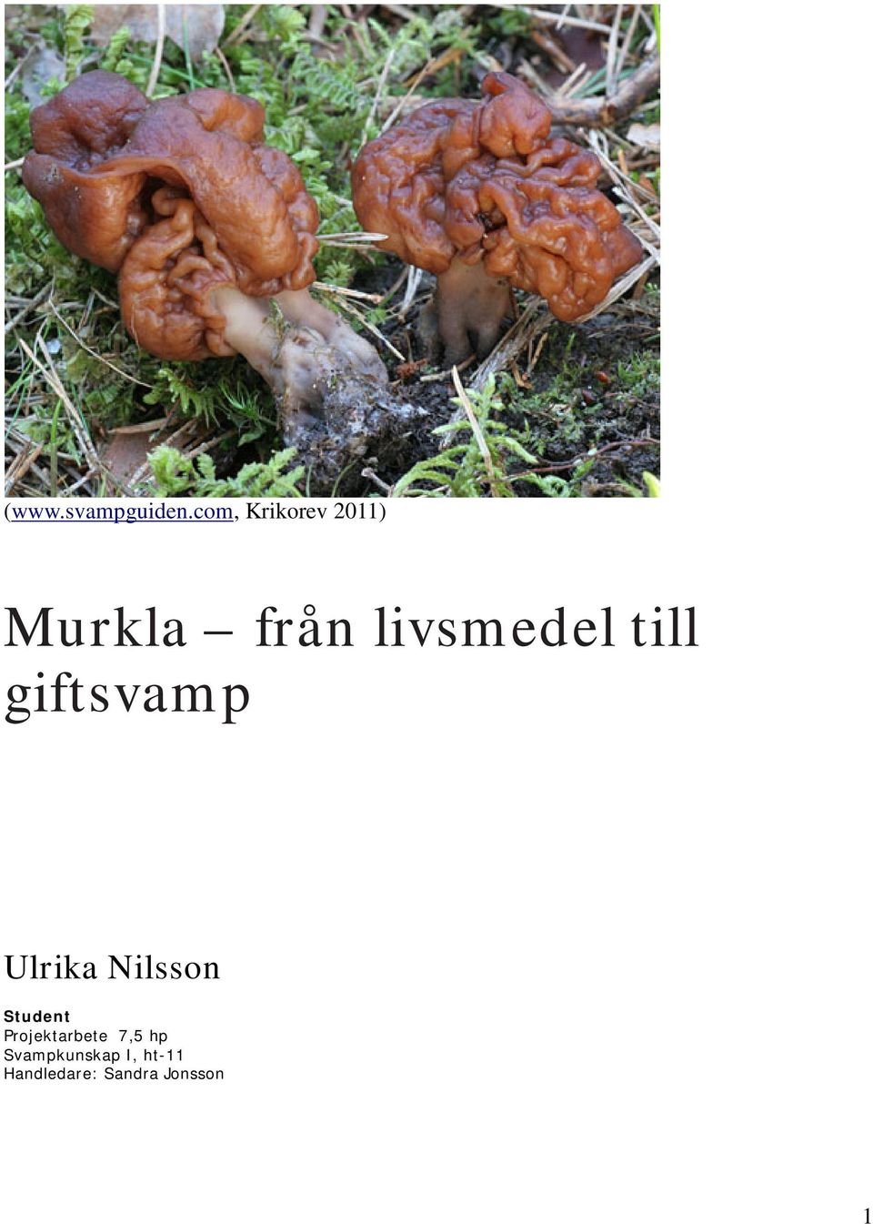 till giftsvamp Ulrika Nilsson Student