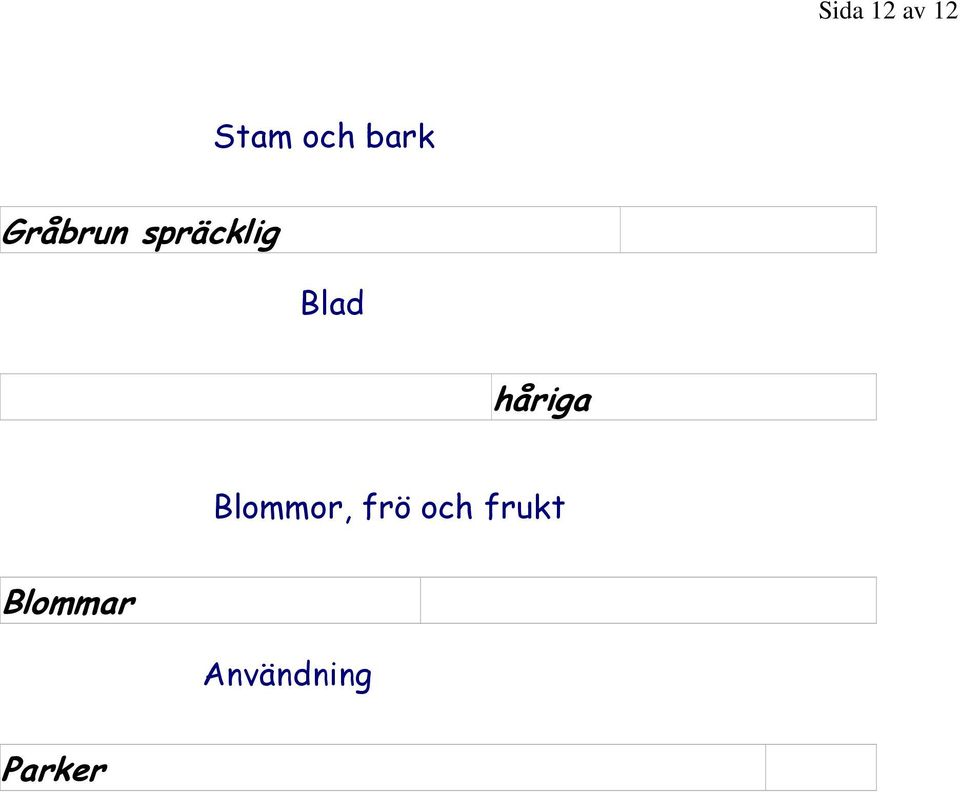 Blad håriga Blommor, frö