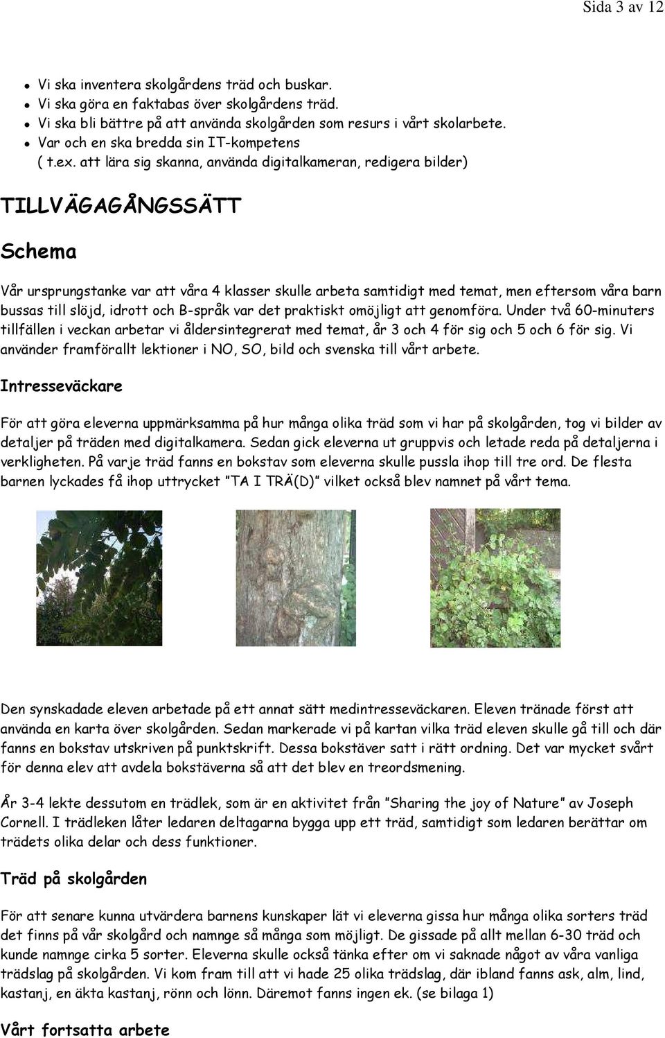 att lära sig skanna, använda digitalkameran, redigera bilder) TILLVÄGAGÅNGSSÄTT Schema Vår ursprungstanke var att våra 4 klasser skulle arbeta samtidigt med temat, men eftersom våra barn bussas till