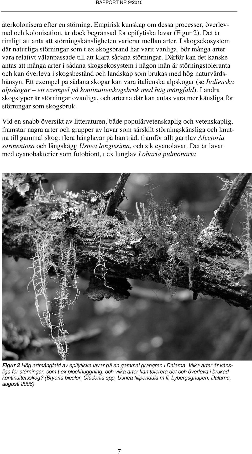 I skogsekosystem där naturliga störningar som t ex skogsbrand har varit vanliga, bör många arter vara relativt välanpassade till att klara sådana störningar.