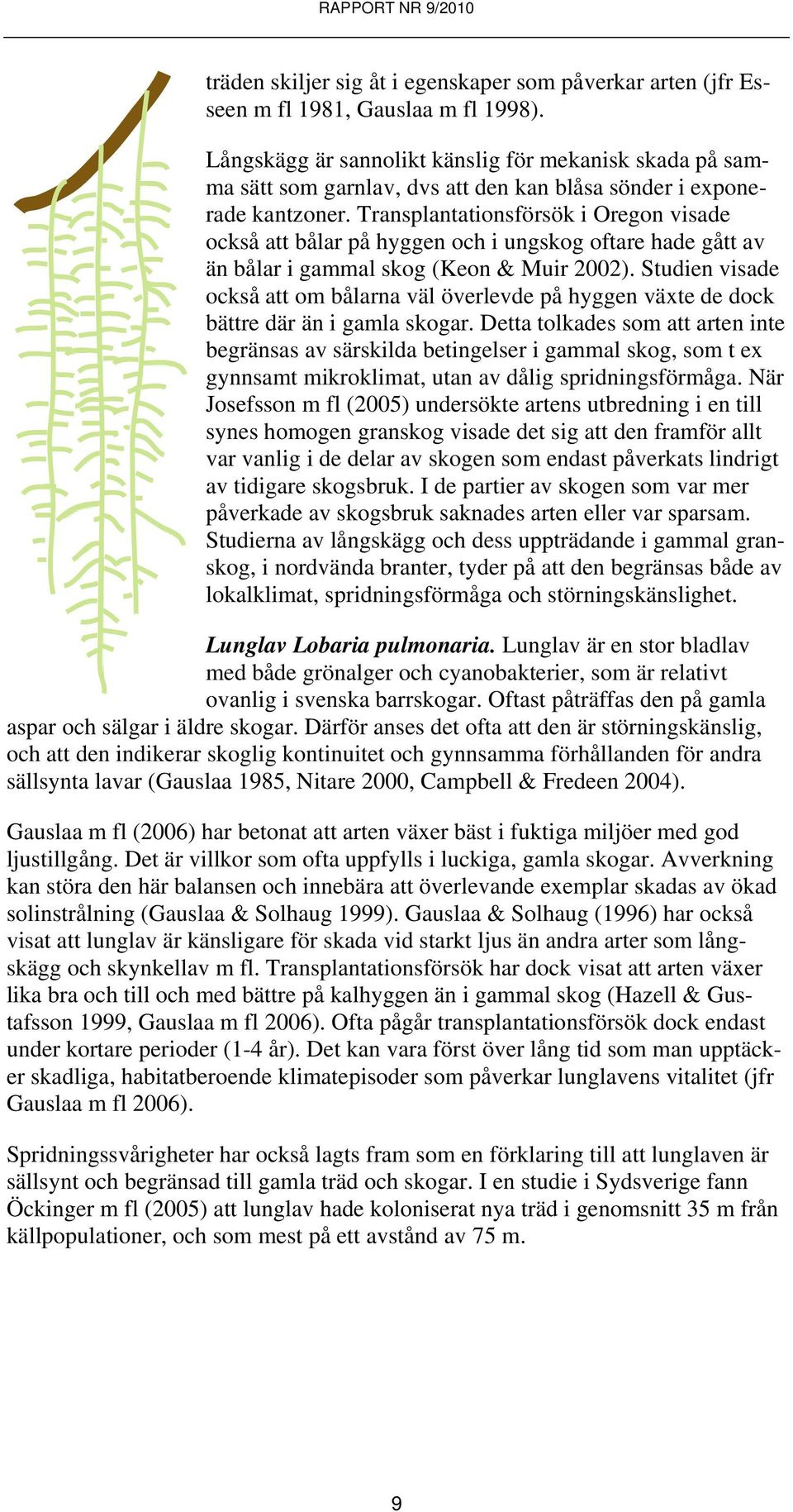 Transplantationsförsök i Oregon visade också att bålar på hyggen och i ungskog oftare hade gått av än bålar i gammal skog (Keon & Muir 2002).