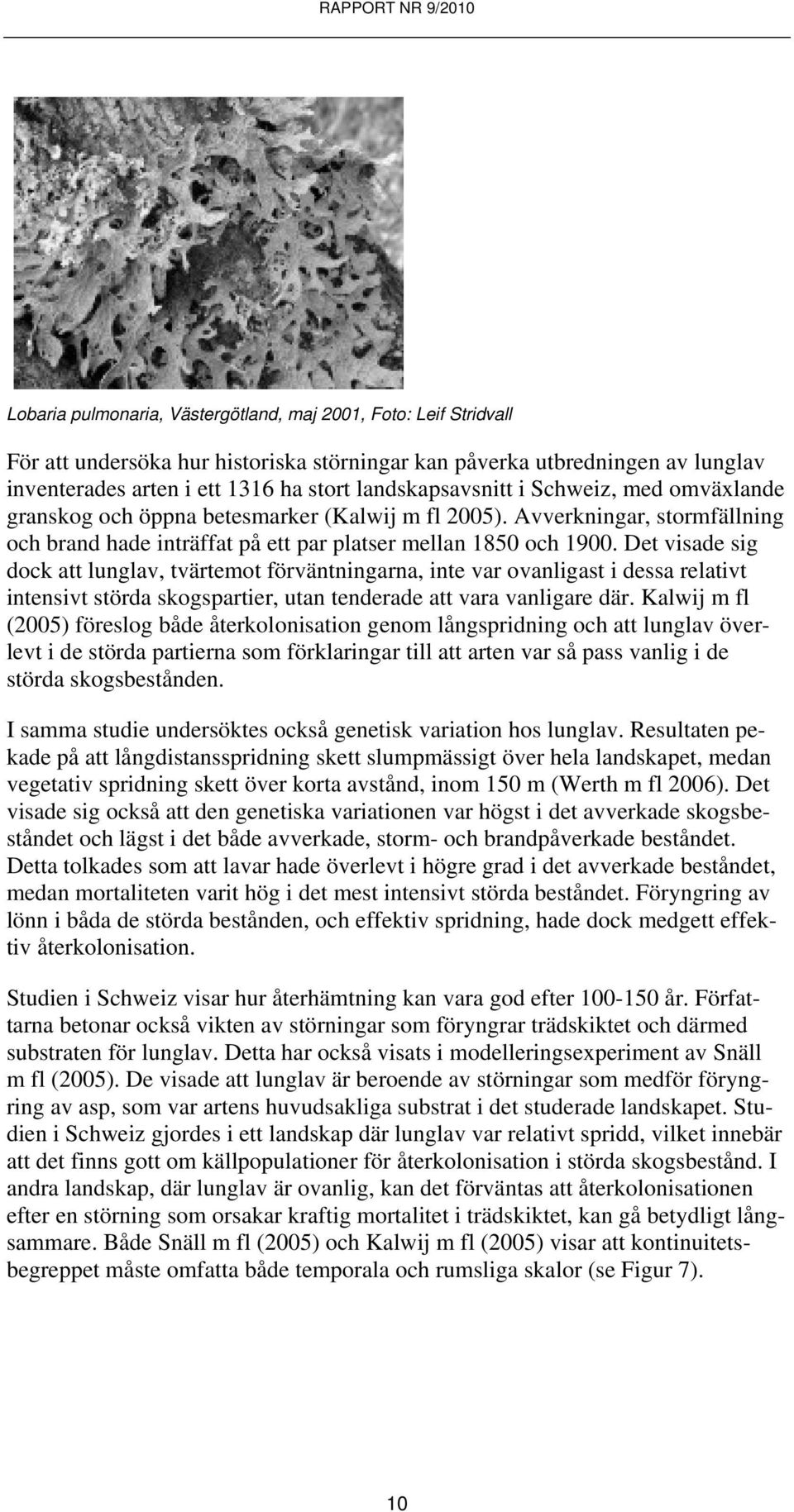 Det visade sig dock att lunglav, tvärtemot förväntningarna, inte var ovanligast i dessa relativt intensivt störda skogspartier, utan tenderade att vara vanligare där.
