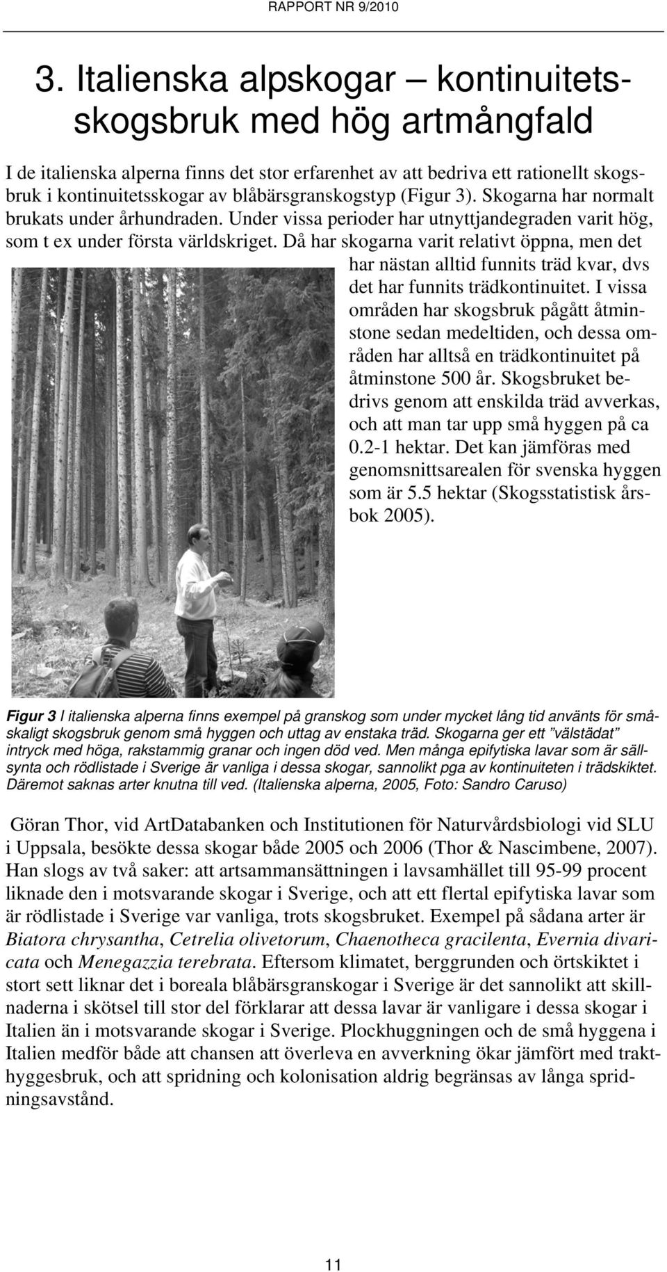 Då har skogarna varit relativt öppna, men det har nästan alltid funnits träd kvar, dvs det har funnits trädkontinuitet.
