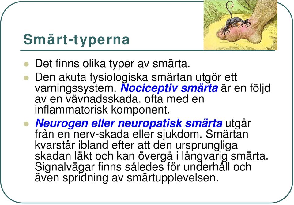 Neurogen eller neuropatisk smärta utgår från en nerv-skada eller sjukdom.