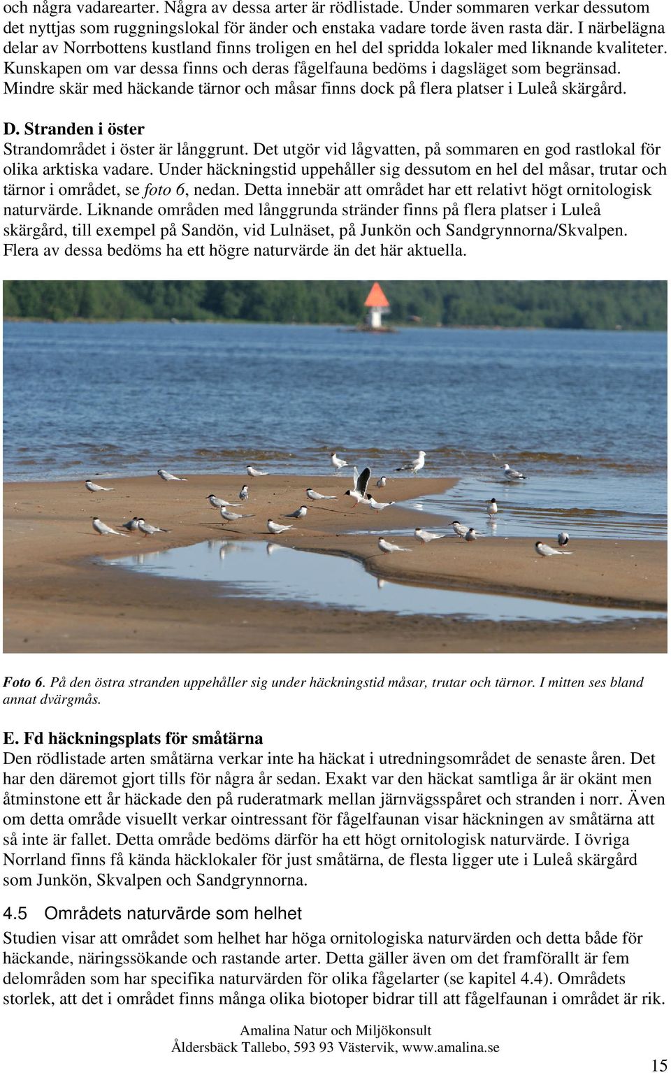Mindre skär med häckande tärnor och måsar finns dock på flera platser i Luleå skärgård. D. Stranden i öster Strandområdet i öster är långgrunt.