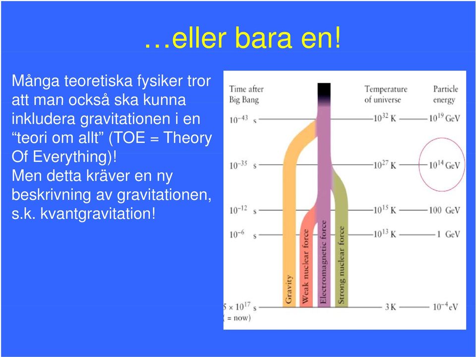 inkludera gravitationen i en teori om allt (TOE =
