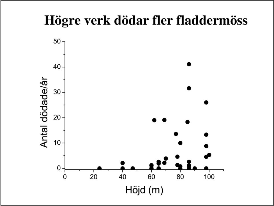 fladdermöss 50 40 30 20