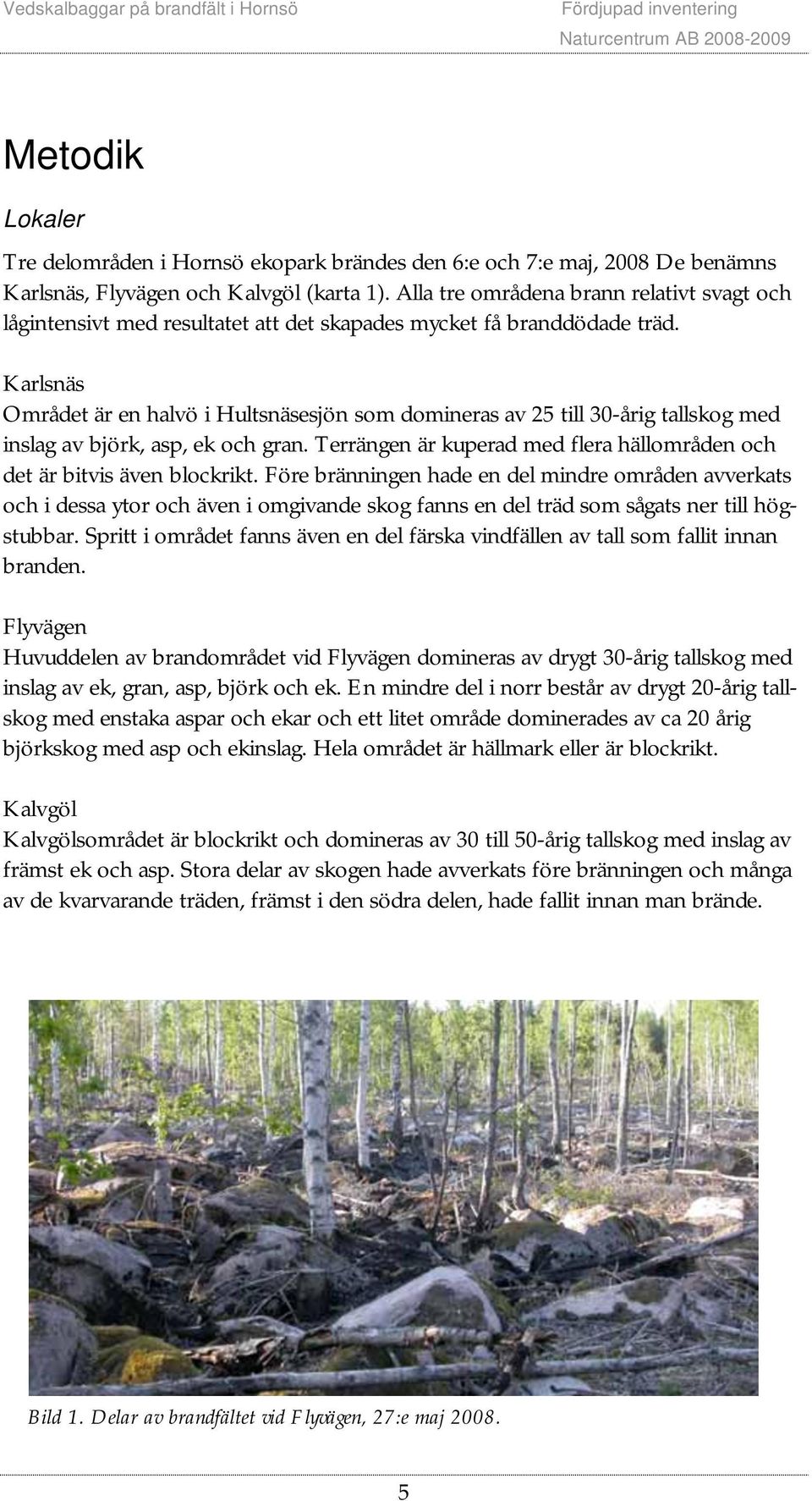 Karlsnäs Området är en halvö i Hultsnäsesjön som domineras av 25 till 30-årig tallskog med inslag av björk, asp, ek och gran.