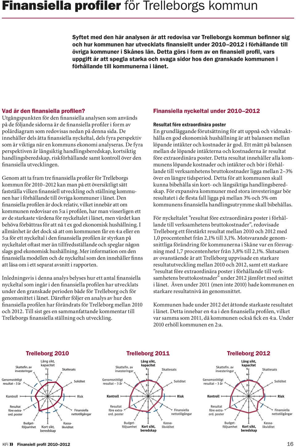 Vad är den finansiella profilen? Utgångspunkten för den finansiella analysen som används på de följande sidorna är de finansiella profiler i form av polärdiagram som redovisas nedan på denna sida.