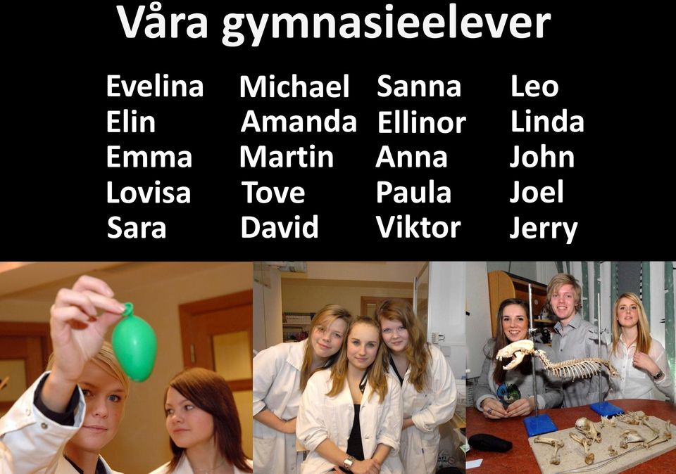 Martin Tove David Sanna Ellinor