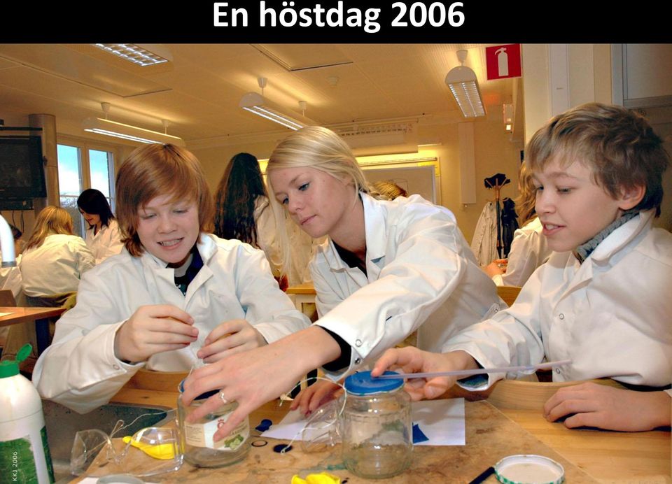 2006