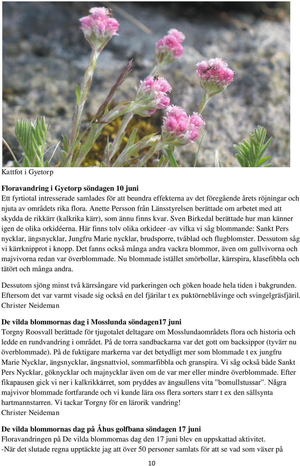 Här finns tolv olika orkideer -av vilka vi såg blommande: Sankt Pers nycklar, ängsnycklar, Jungfru Marie nycklar, brudsporre, tvåblad och flugblomster. Dessutom såg vi kärrknipprot i knopp.