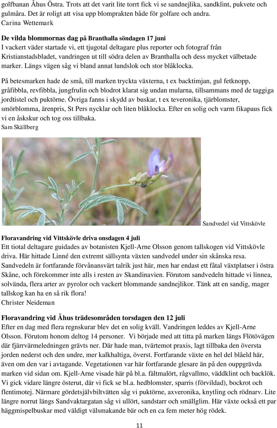 södra delen av Branthalla och dess mycket välbetade marker. Längs vägen såg vi bland annat lundslok och stor blåklocka.