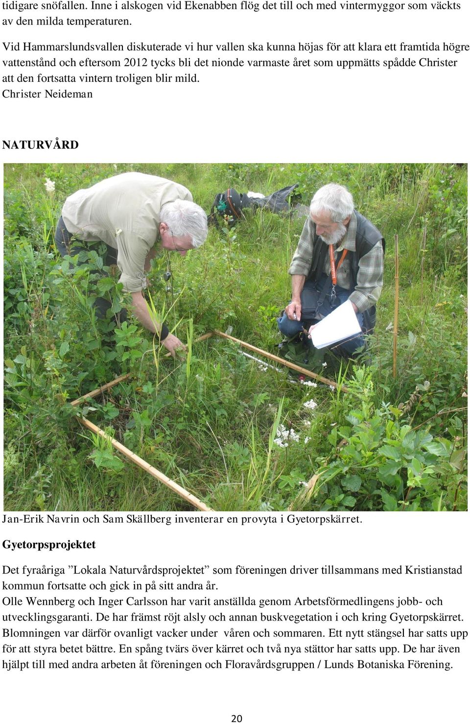 fortsatta vintern troligen blir mild. NATURVÅRD Jan-Erik Navrin och Sam Skällberg inventerar en provyta i Gyetorpskärret.