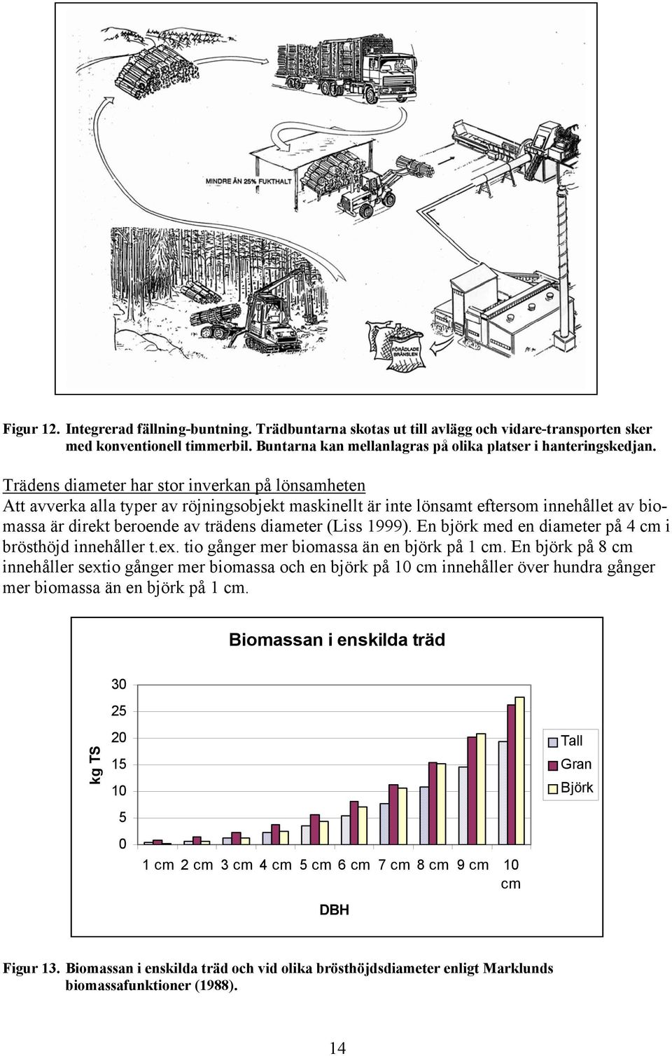 1999). En björk med en diameter på 4 cm i brösthöjd innehåller t.ex. tio gånger mer biomassa än en björk på 1 cm.