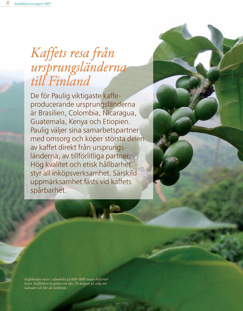 Paulig väljer sina samarbetspartner med omsorg och köper största delen av kaffet direkt från ursprungsländerna, av tillförlitliga partner.