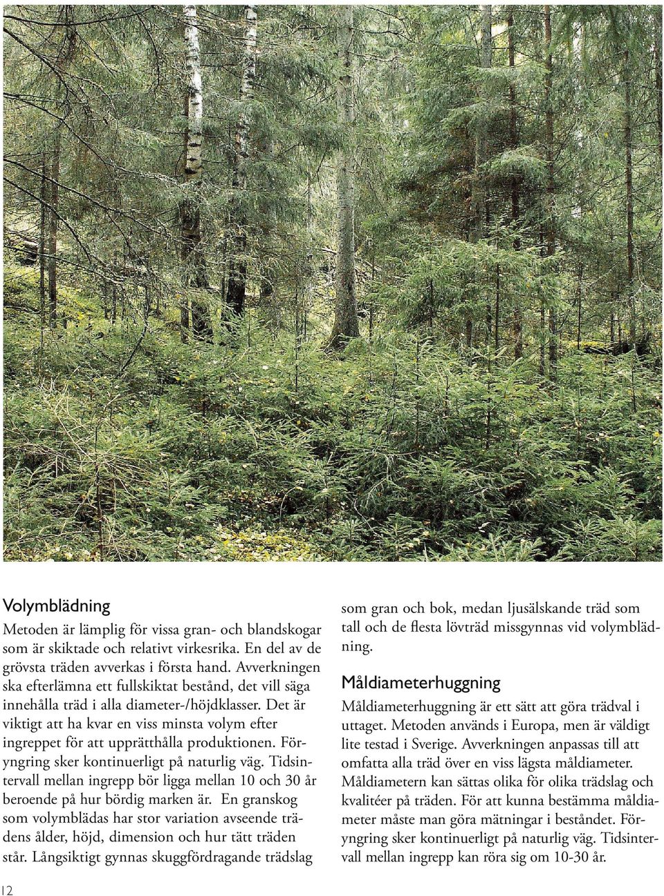 Det är viktigt att ha kvar en viss minsta volym efter ingreppet för att upprätthålla produktionen. Föryngring sker kontinuerligt på naturlig väg.