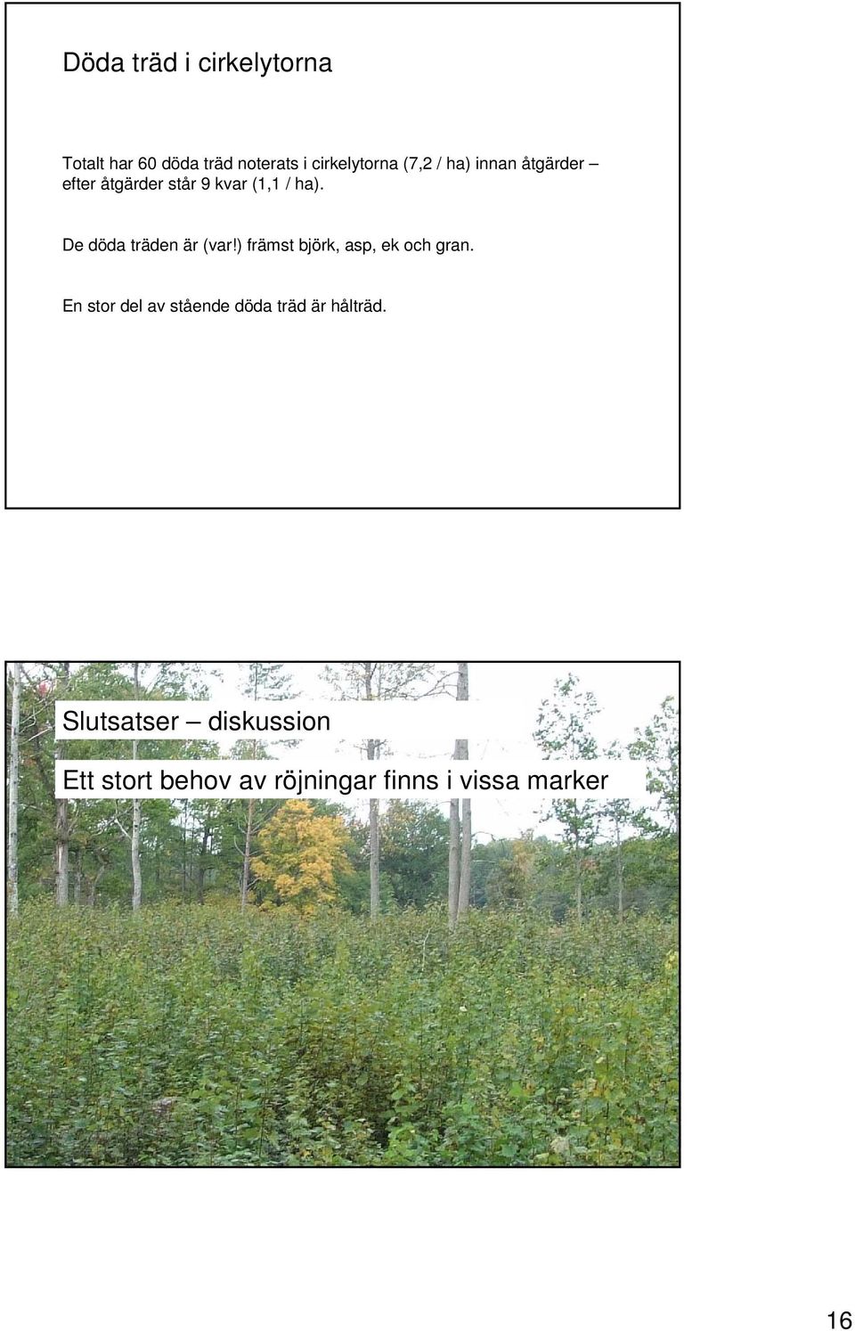 De döda träden är (var!) främst björk, asp, ek och gran.