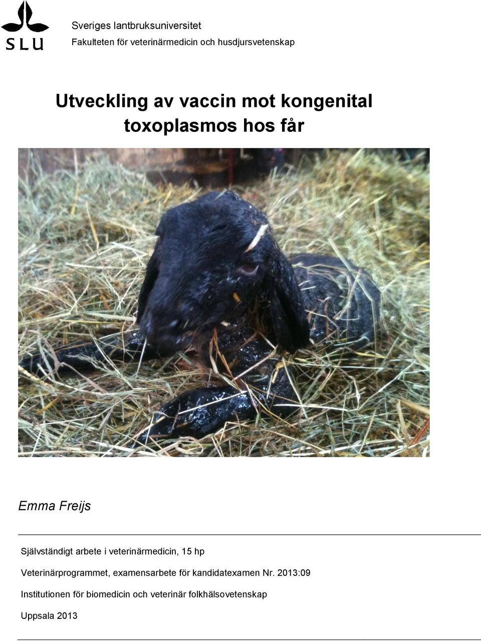 arbete i veterinärmedicin, 15 hp Veterinärprogrammet, examensarbete för