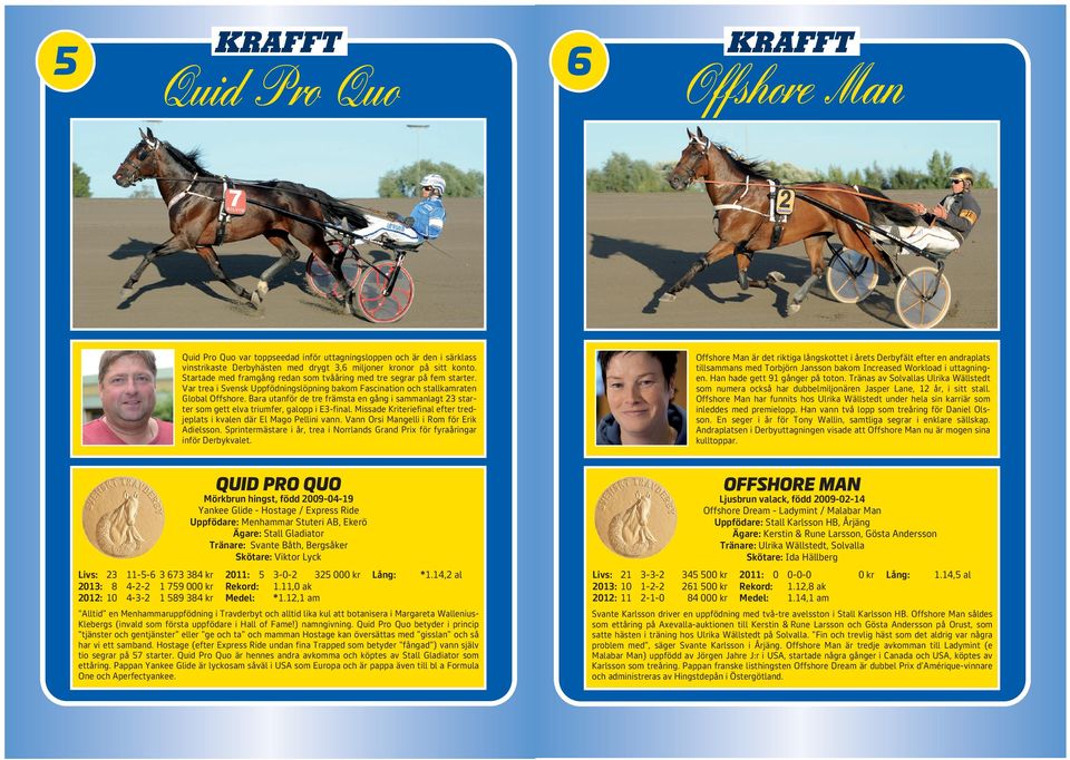 Bara utanför de tre främsta en gång i sammanlagt 23 starter som gett elva triumfer, galopp i E3-final. Missade Kriteriefinal efter tredjeplats i kvalen där El Mago Pellini vann.