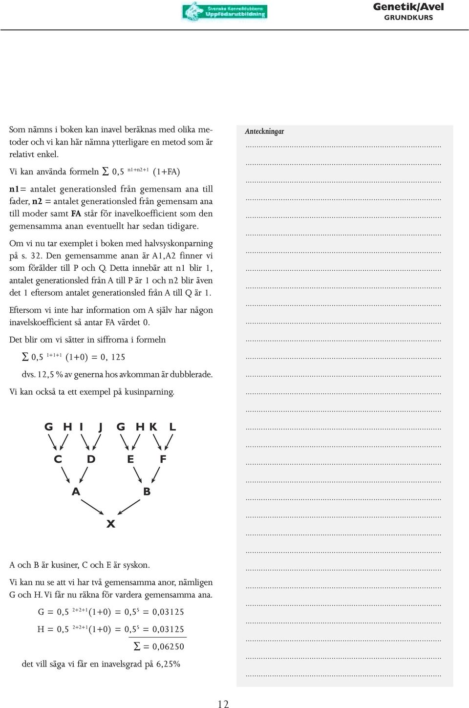 gemensamma anan eventuellt har sedan tidigare. Om vi nu tar exemplet i boken med halvsyskonparning på s. 32. Den gemensamme anan är A1,A2 finner vi som förälder till P och Q.