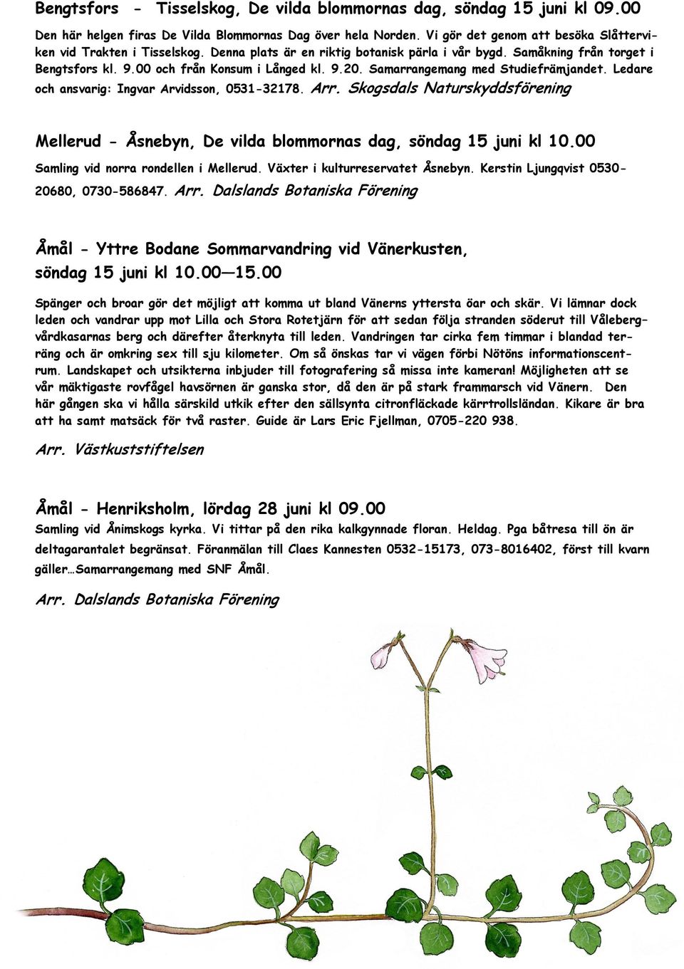 Samarrangemang med Studiefrämjandet. Ledare och ansvarig: Ingvar Arvidsson, 0531-32178. Arr. Skogsdals Naturskyddsförening Mellerud - Åsnebyn, De vilda blommornas dag, söndag 15 juni kl 10.