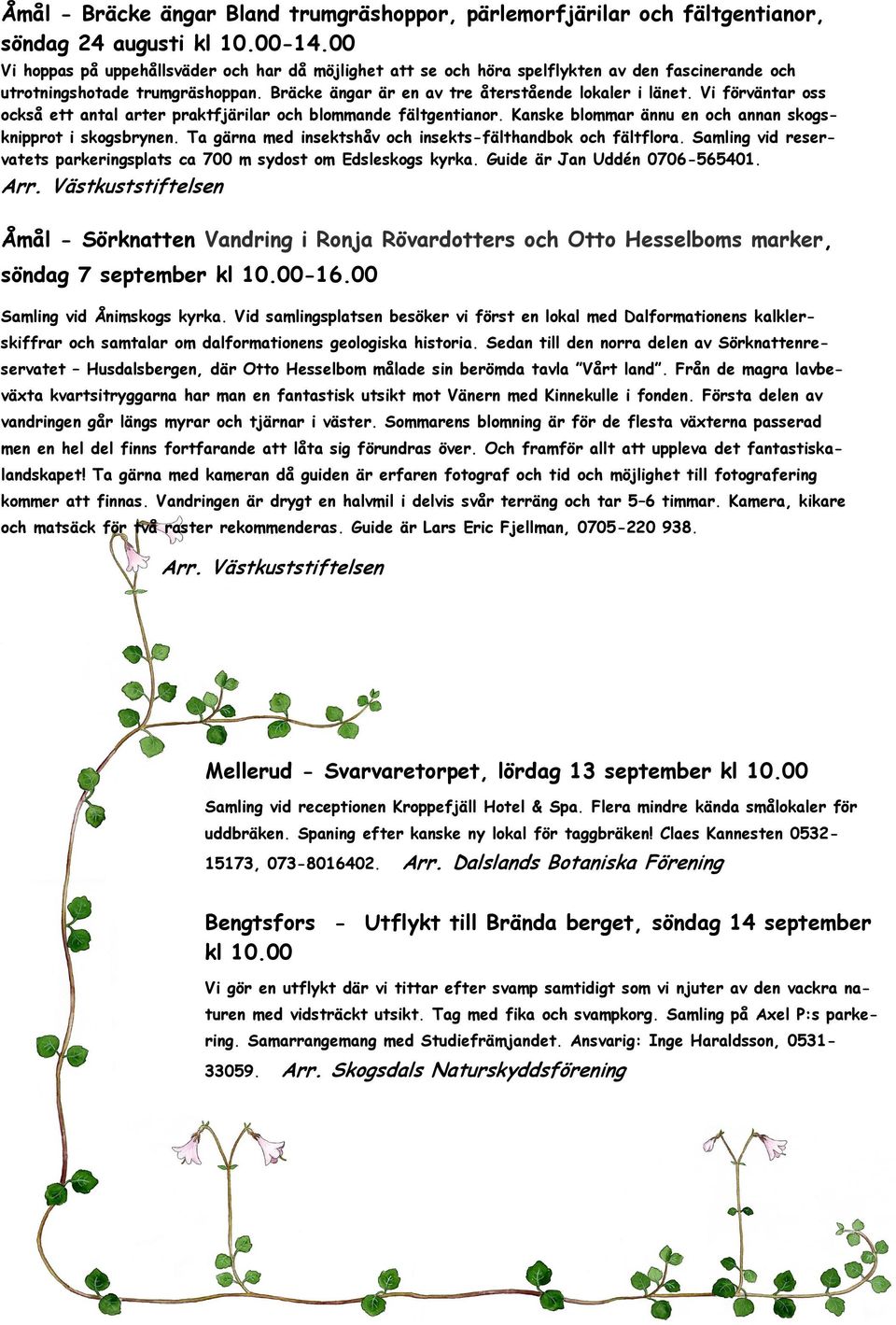 Vi förväntar oss också ett antal arter praktfjärilar och blommande fältgentianor. Kanske blommar ännu en och annan skogsknipprot i skogsbrynen.