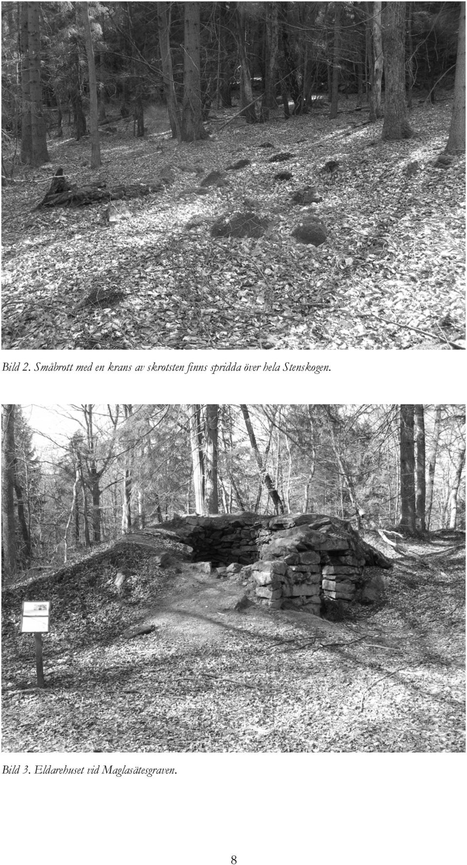 Stenskogen i Höör Natur-, kultur- och friluftsvärden, förslag till ...