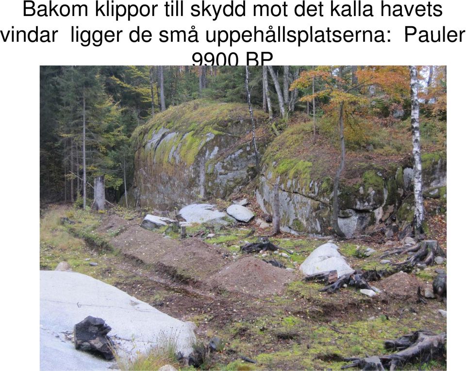 vindar ligger de små