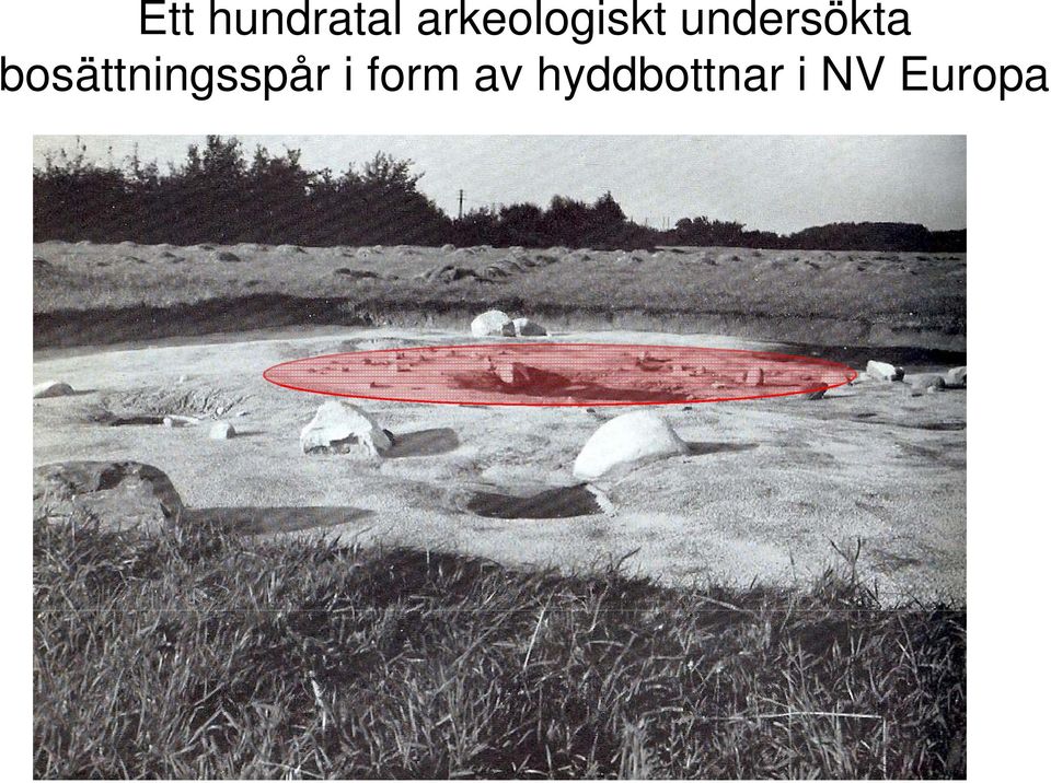 undersökta