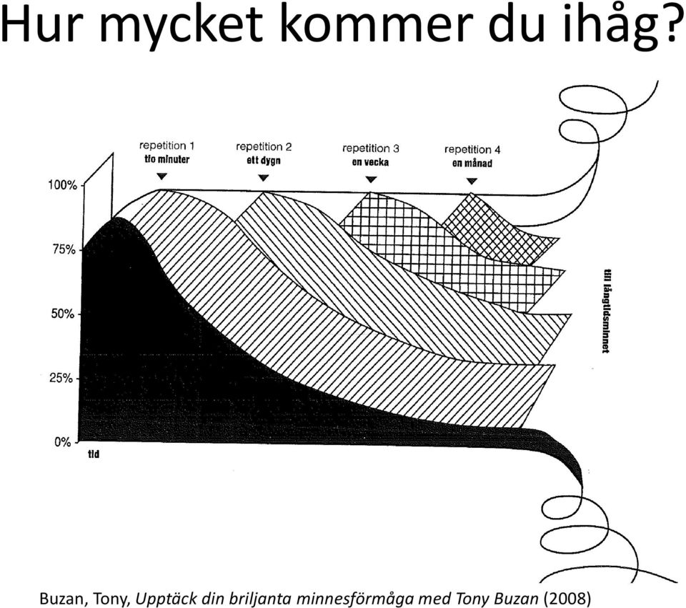 Upptäck din briljanta