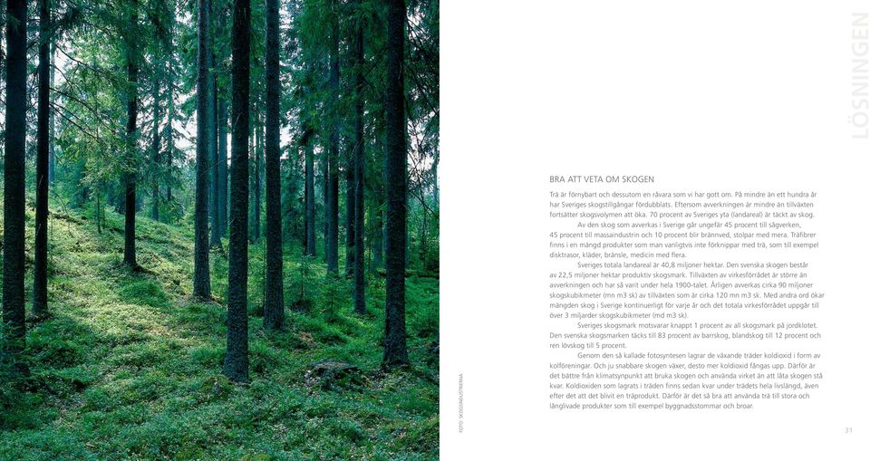 Av den skog som avverkas i Sverige går ungefär 45 procent till sågverken, 45 procent till massaindustrin och 10 procent blir brännved, stolpar med mera.