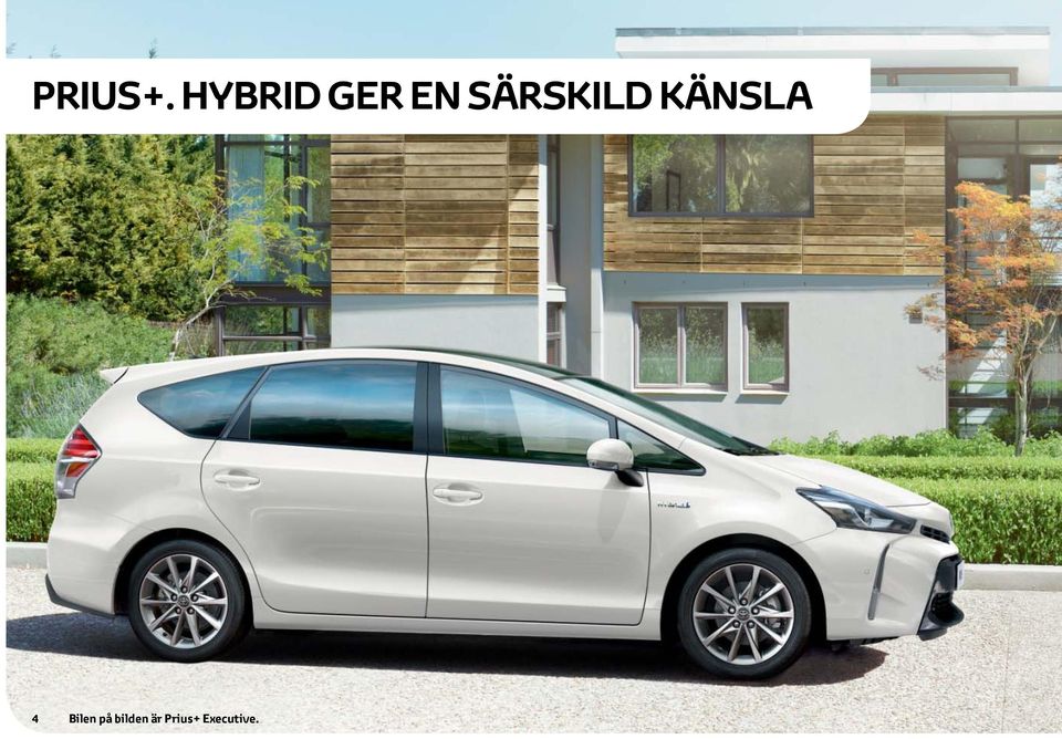 SÄRSKILD KÄNSLA 4