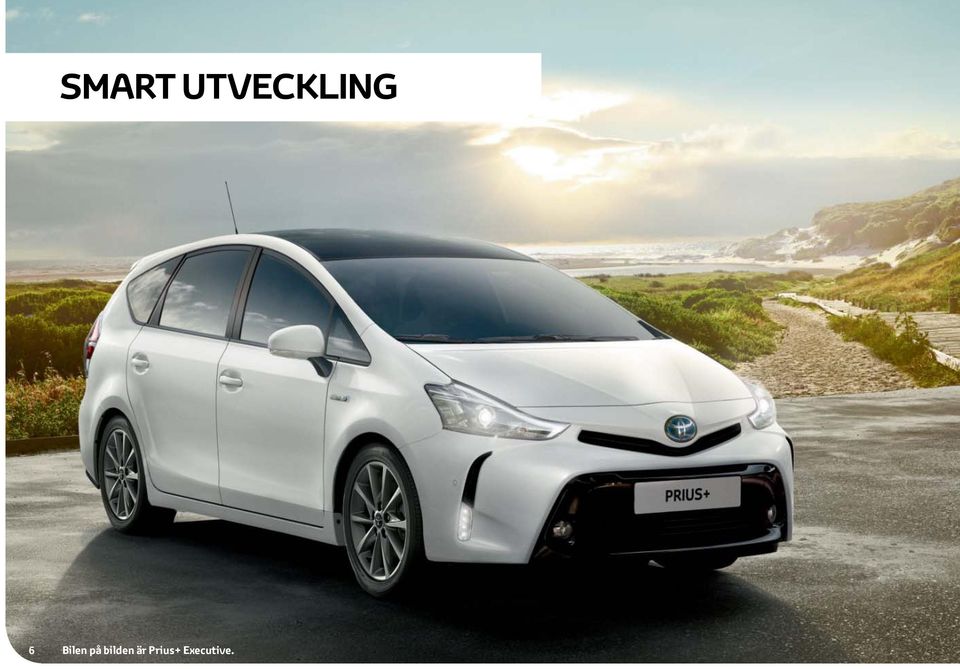 Bilen på