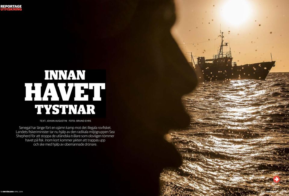 Landets fiskeriminister tar nu hjälp av den radikala miljögruppen Sea Shepherd för att stoppa de