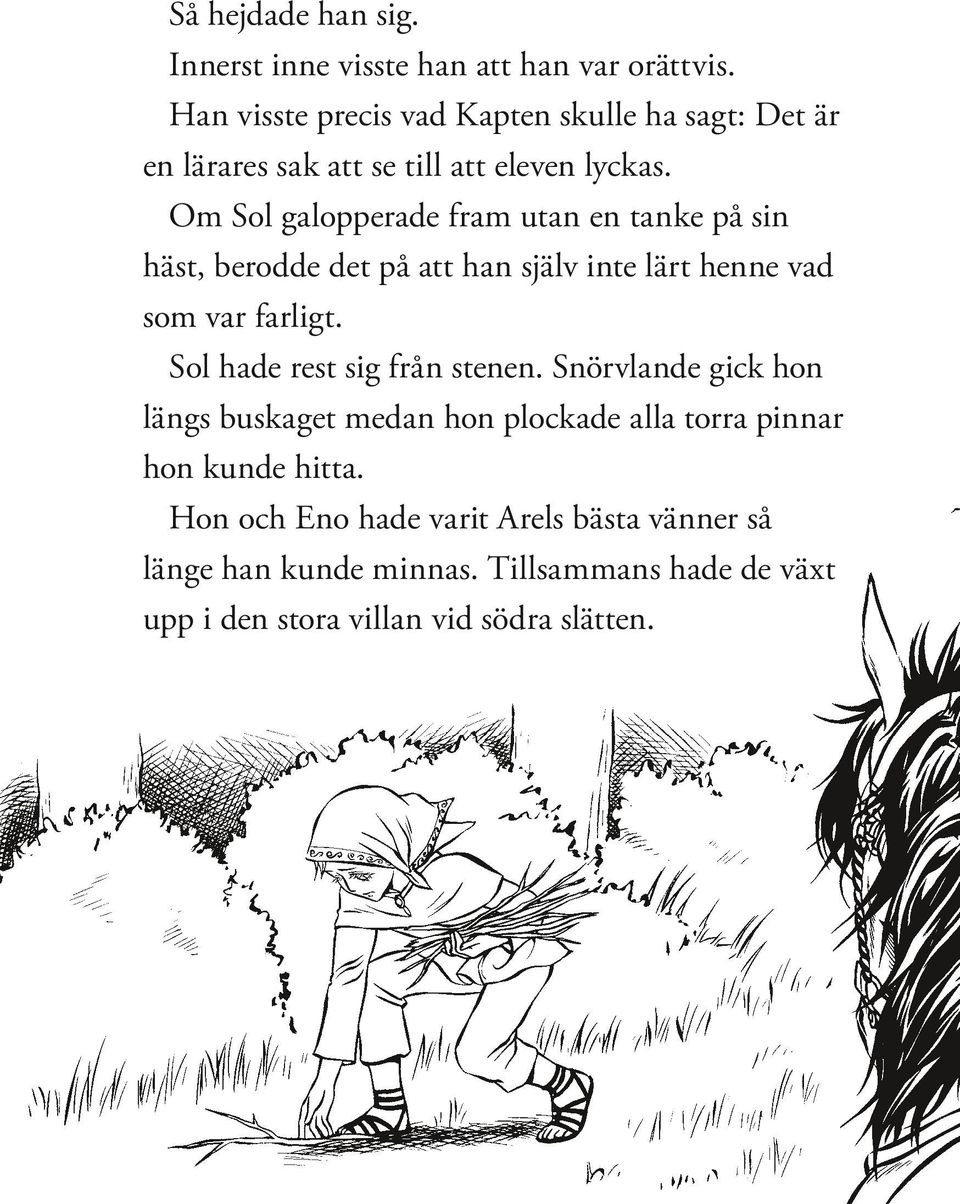 Om Sol galopperade fram utan en tanke på sin häst, berodde det på att han själv inte lärt henne vad som var farligt.