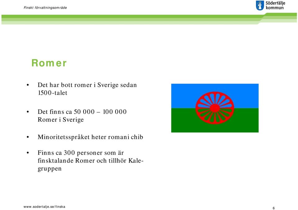 Minoritetsspråket heter romani chib Finns ca 300
