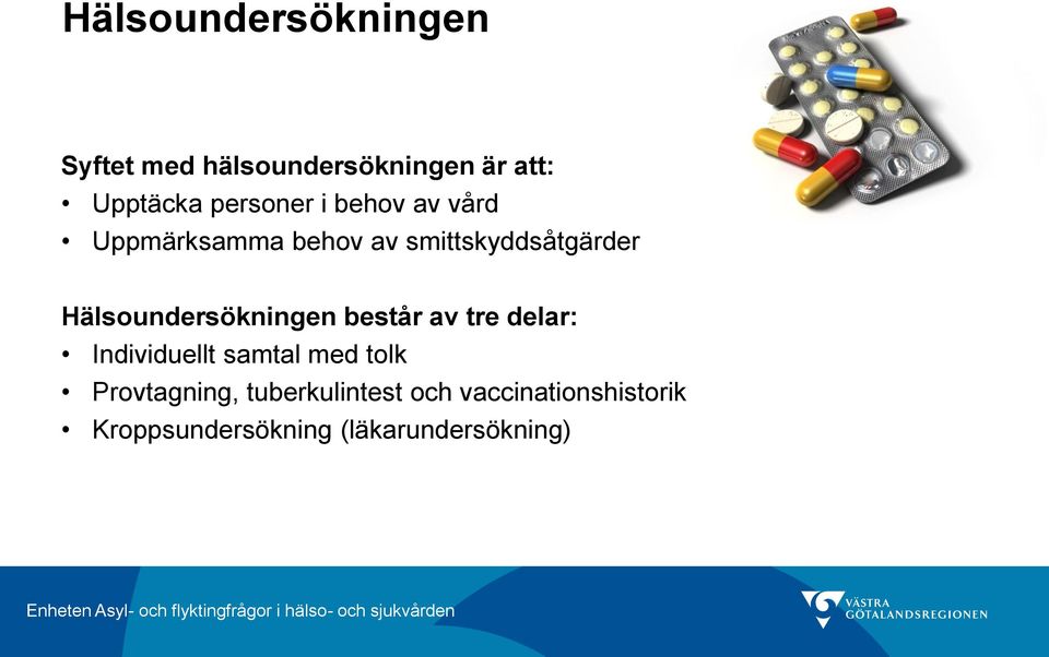 Hälsoundersökningen består av tre delar: Individuellt samtal med tolk