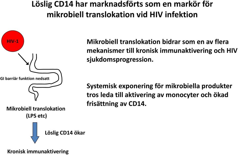 GI barriär funktion nedsatt Mikrobiell translokation (LPS etc) Systemisk exponering för mikrobiella