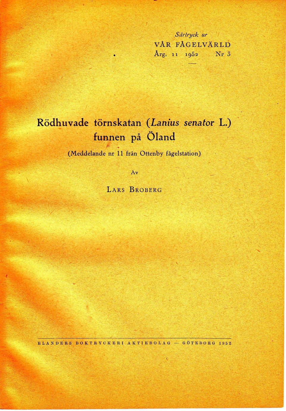 Nr ö, :::r.::1..:,::,i 'jis;.ii.