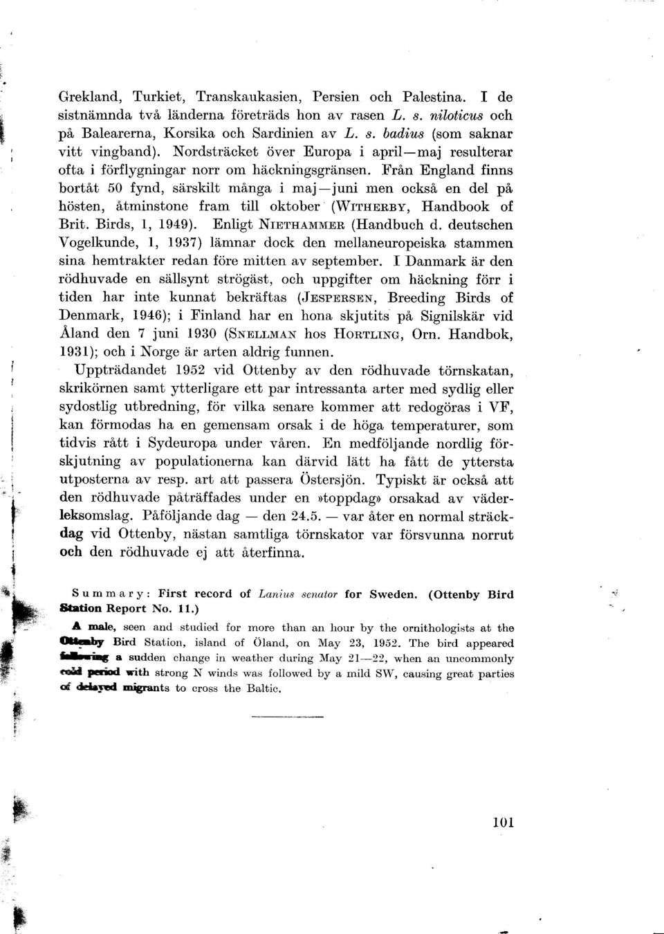 X'rån England finns bortåt 50 fynd, särskilt många i majjuni men också en del på hösten, åtminstone fram till oktober (Wrrnnnnv, Handbook of Brit. Birds, 1, 1949). Enligt Nrnrn,zluunn (Handbuch d.