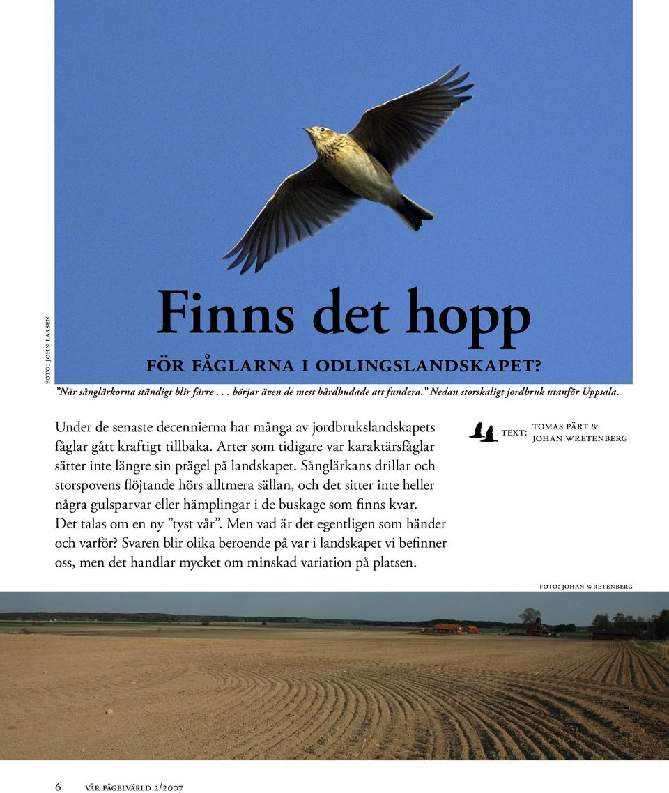 Sånglärkans drillar och storspovens flöjtande hörs alltmera sällan, och det sitter inte heller några gulsparvar eller hämplingar i de buskage som finns kvar. Det talas om en ny tyst vår.