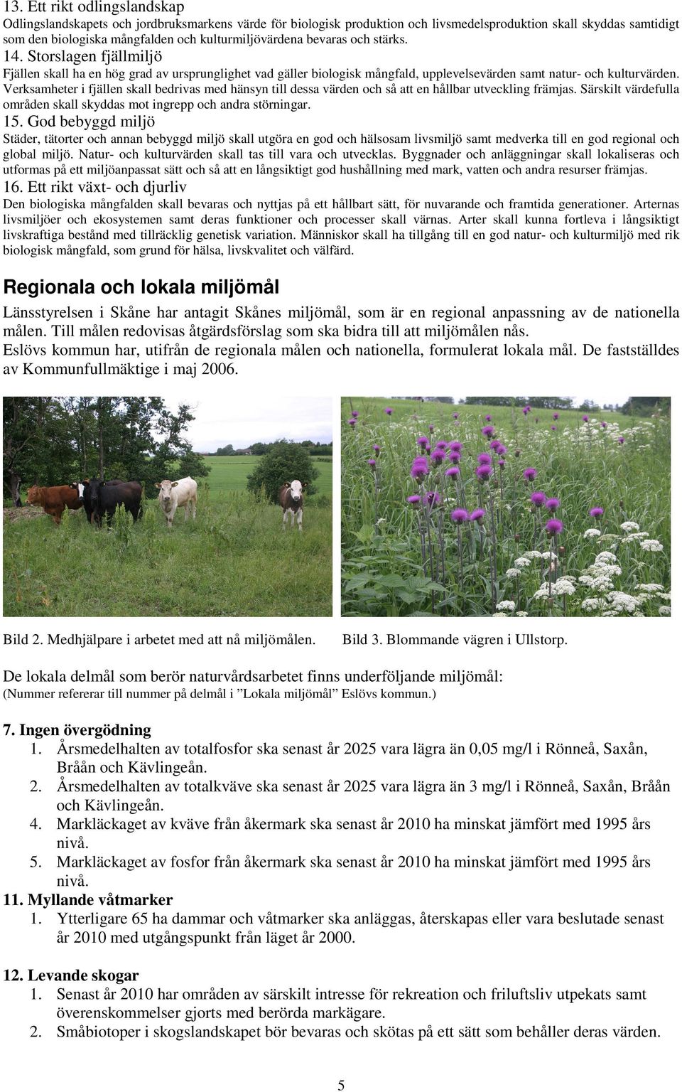 Verksamheter i fjällen skall bedrivas med hänsyn till dessa värden och så att en hållbar utveckling främjas. Särskilt värdefulla områden skall skyddas mot ingrepp och andra störningar. 15.