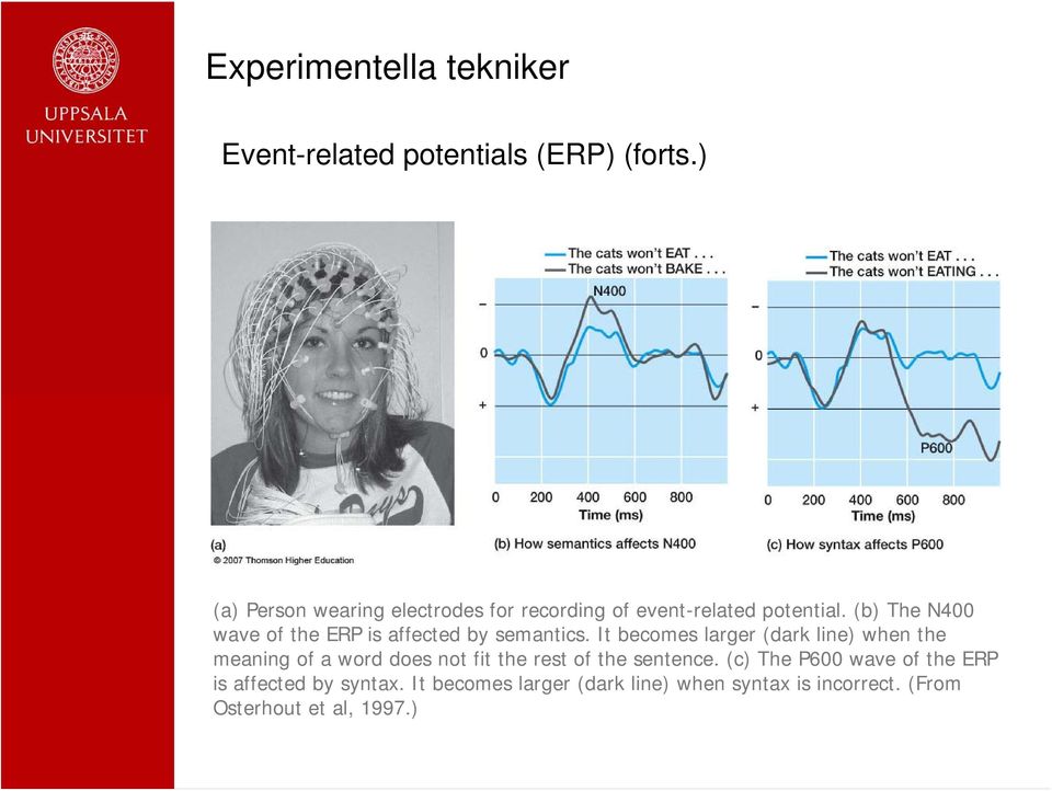 (b) The N400 wave of the ERP is affected by semantics.