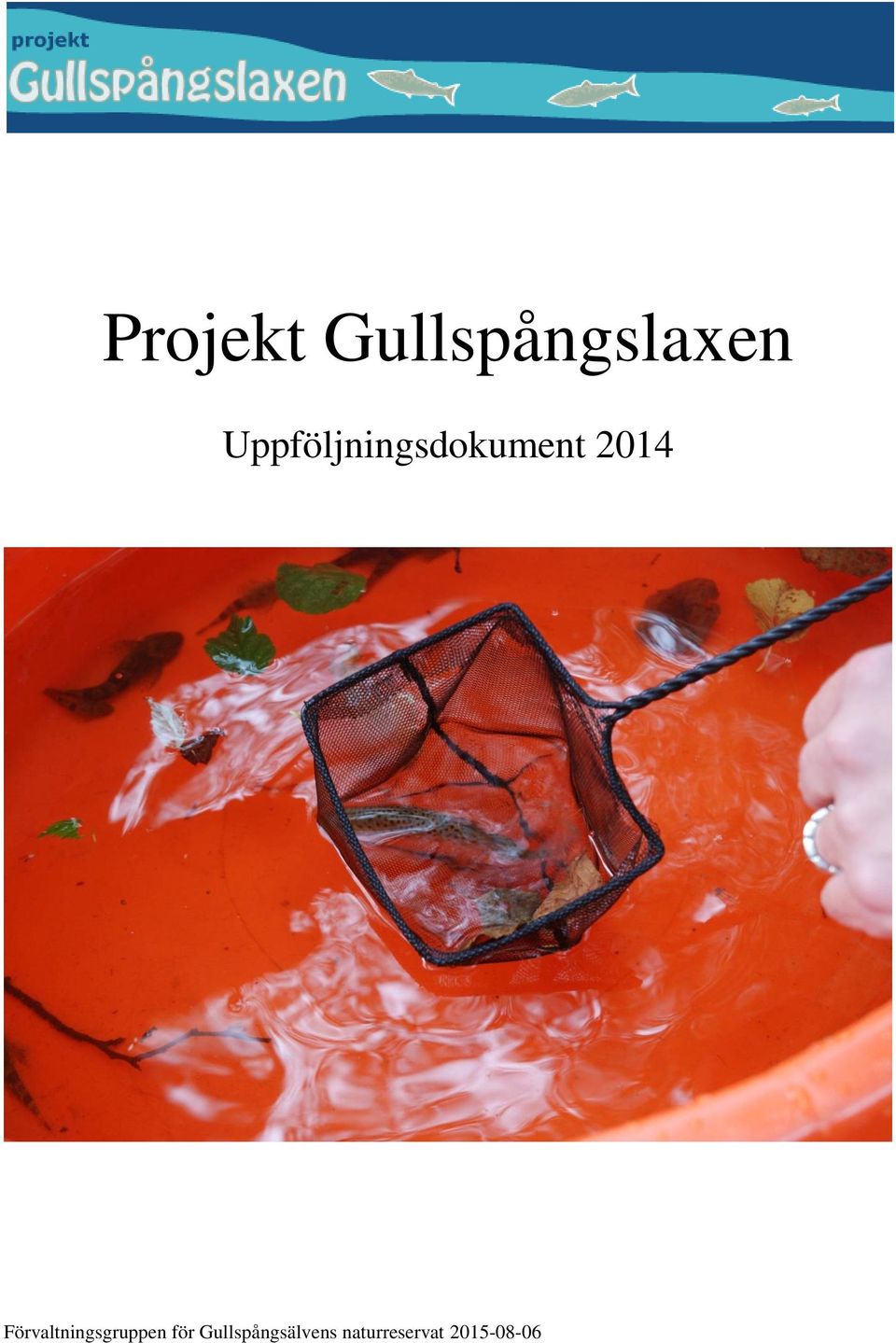 Förvaltningsgruppen för