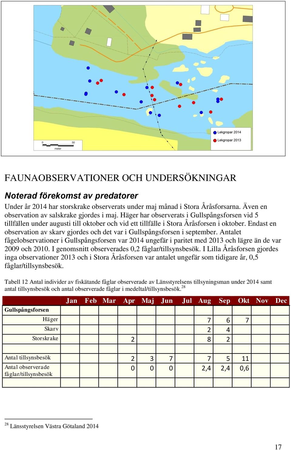 Endast en observation av skarv gjordes och det var i Gullspångsforsen i september. Antalet fågelobservationer i Gullspångsforsen var 214 ungefär i paritet med 213 och lägre än de var 29 och 21.