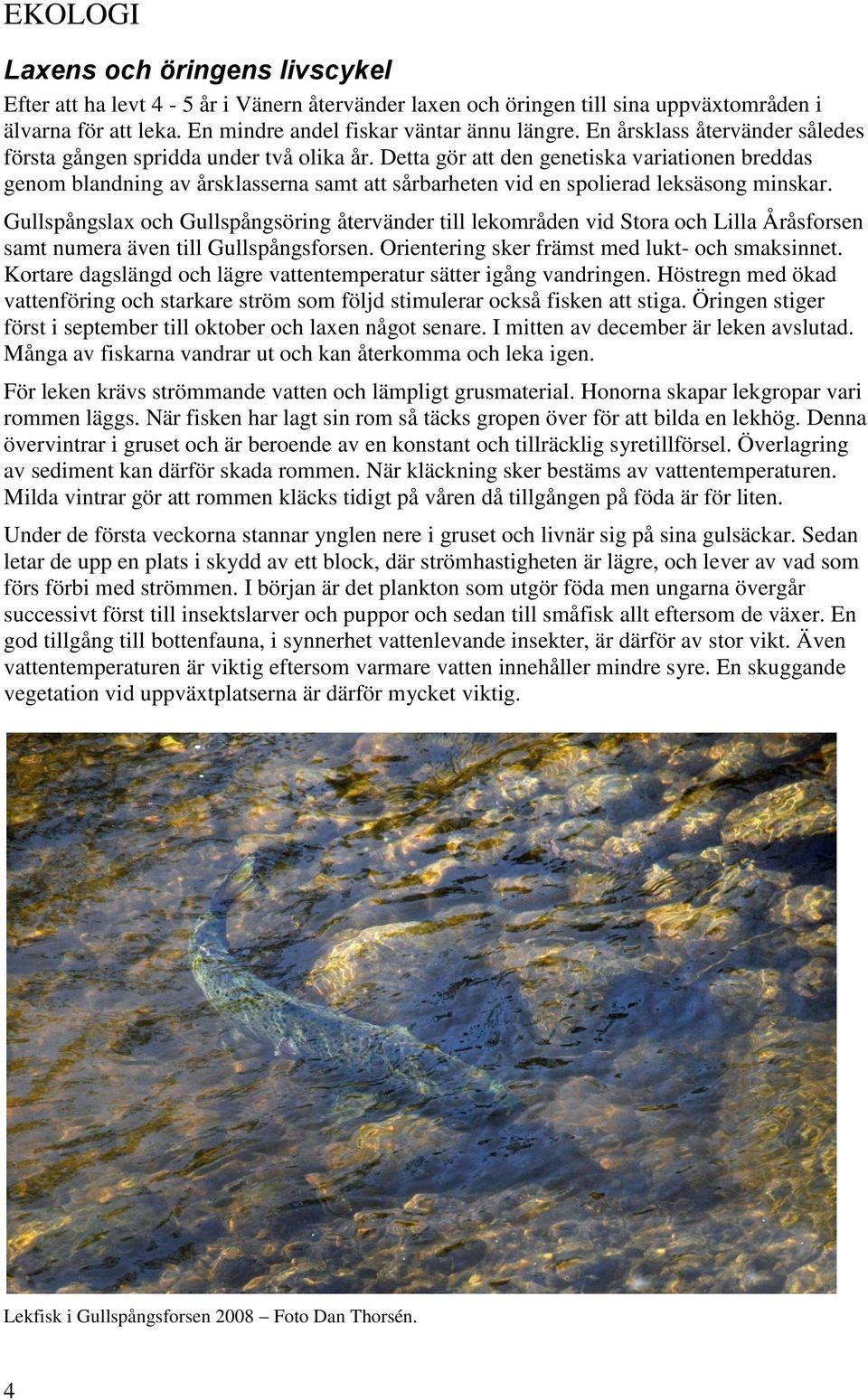 Detta gör att den genetiska variationen breddas genom blandning av årsklasserna samt att sårbarheten vid en spolierad leksäsong minskar.