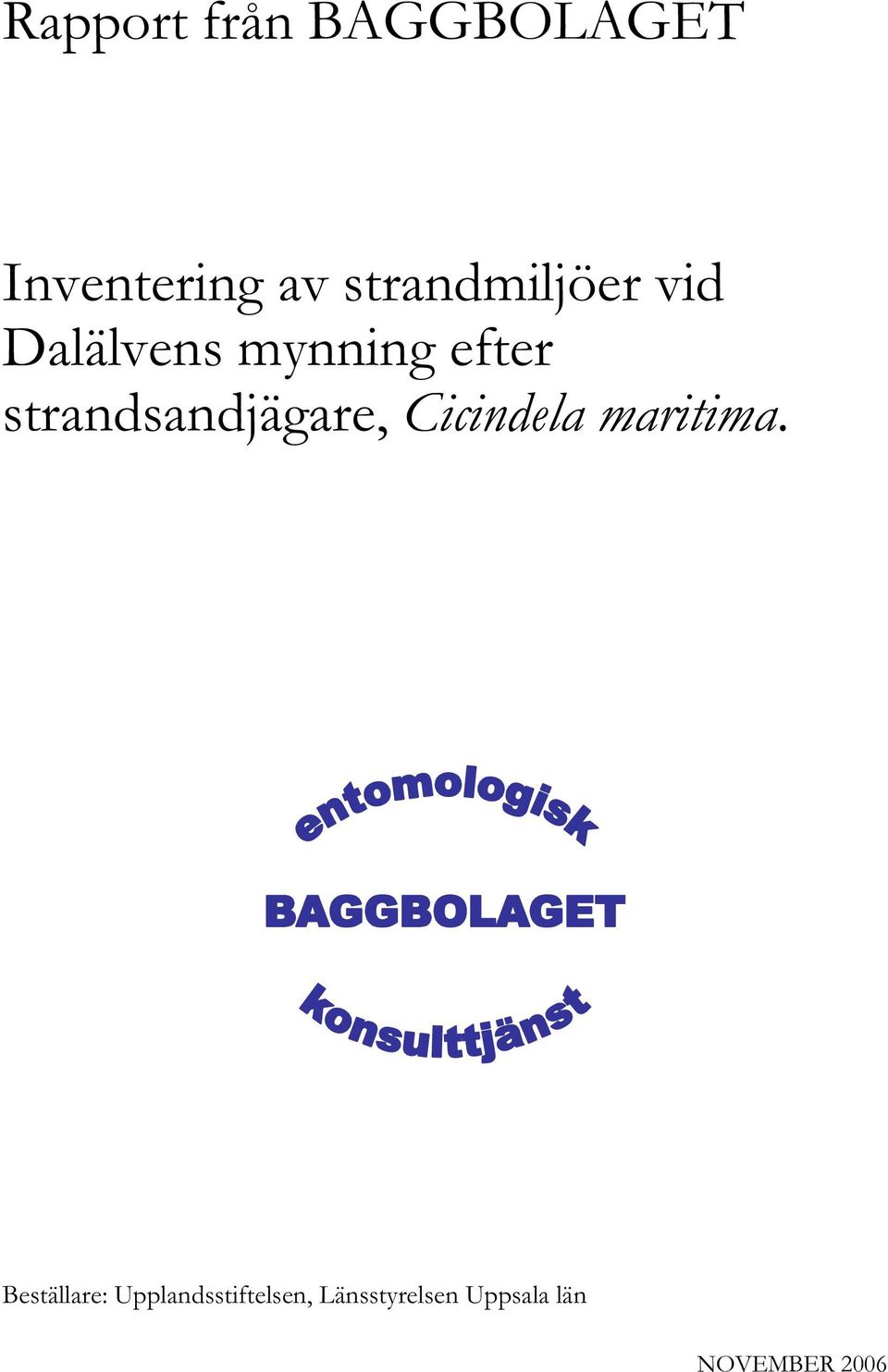 strandsandjägare, Cicindela maritima.