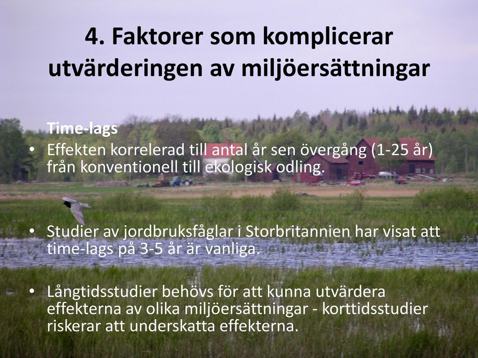 Studier av jordbruksfåglar i Storbritannien har visat att time-lags på 3-5 år är vanliga.